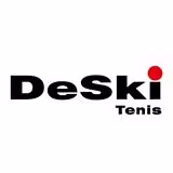 Logo klubu WTS DeSki